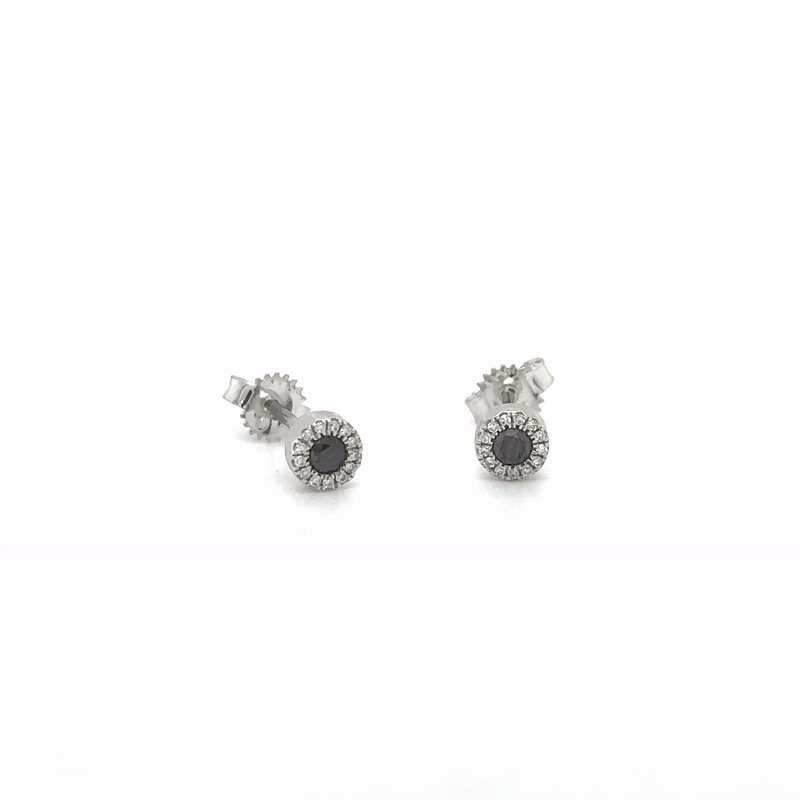14Kt White Gold Earrings with Black and White Diamonds, 0.05 CT